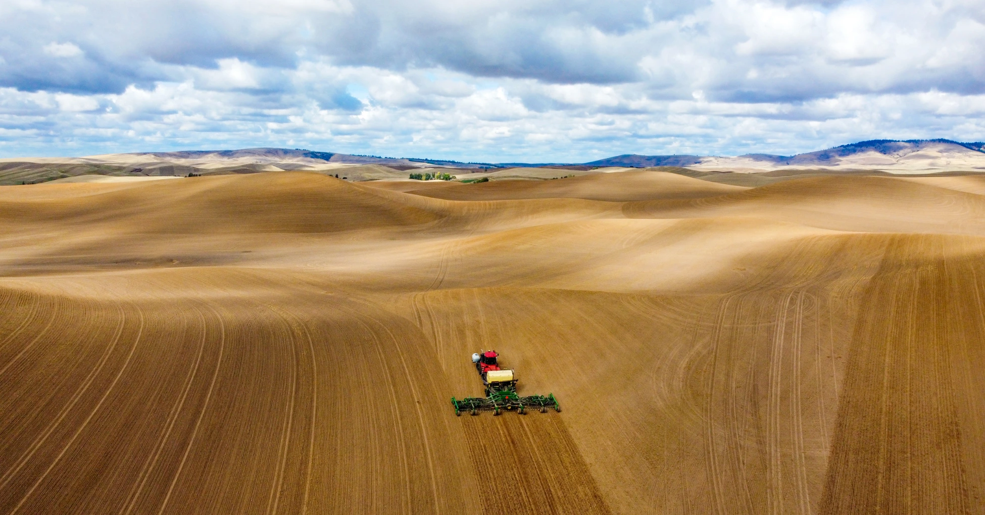 Farm-to-Table Grains and Legumes
