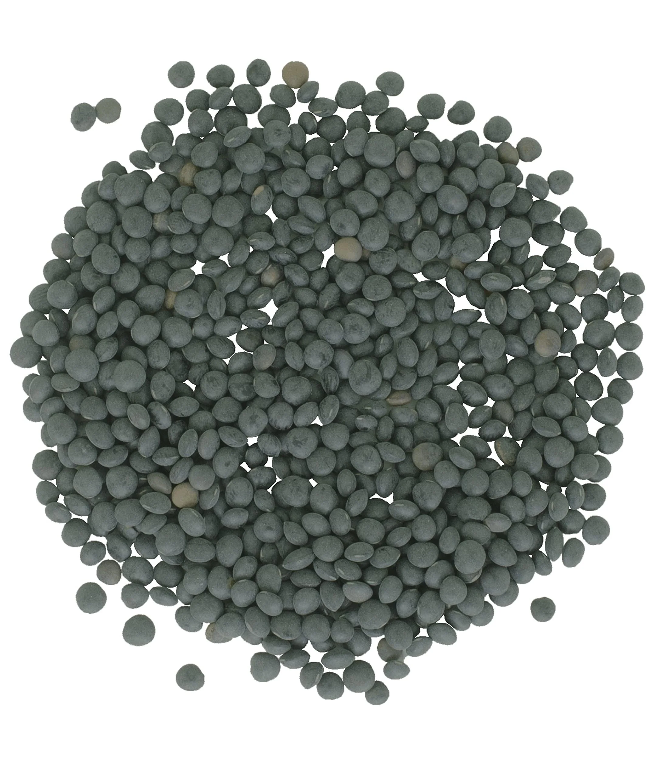 Beluga Lentils | 18 LB