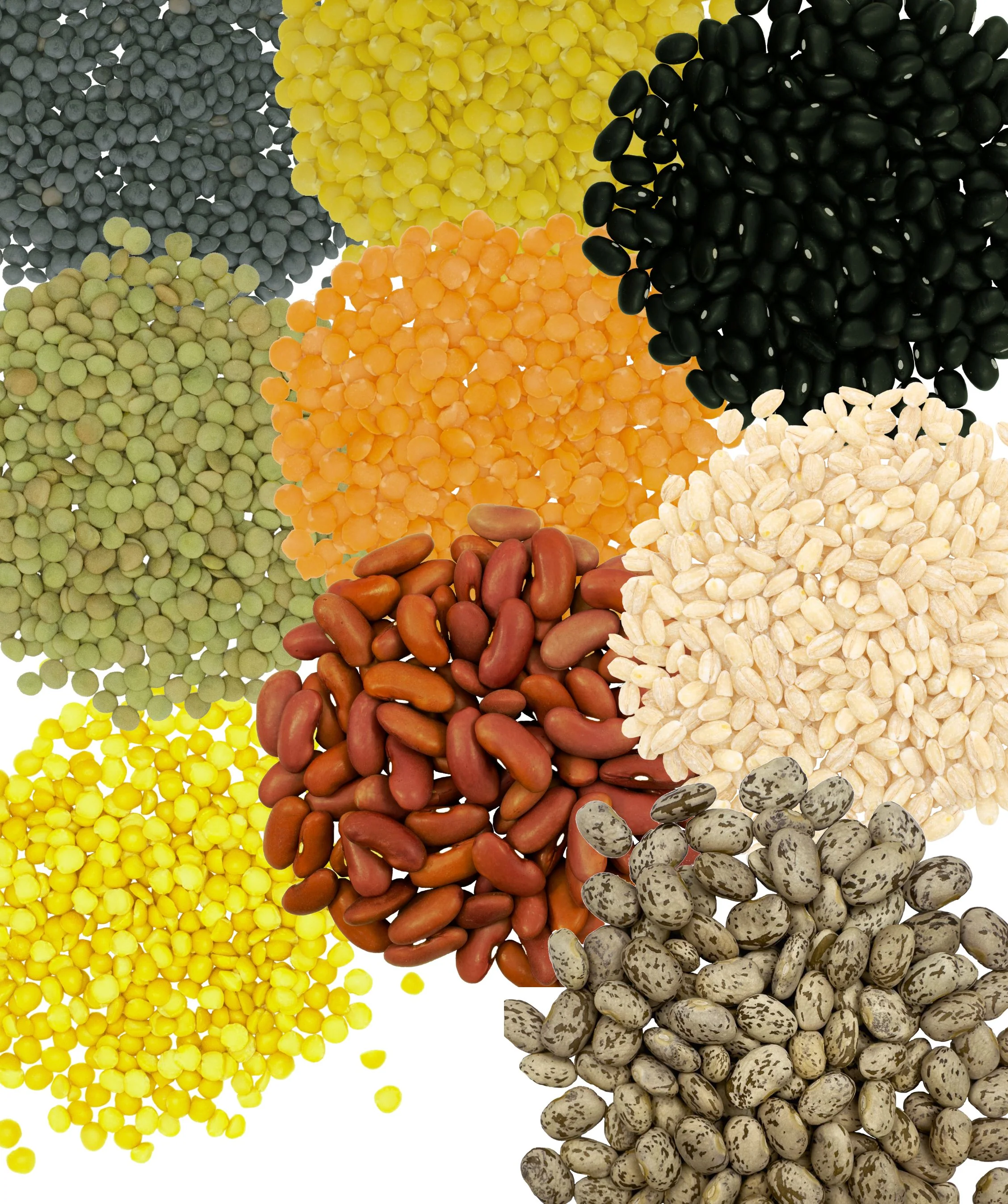 Clear Creek 1 LB Bundle | 9 LBS - Image 2