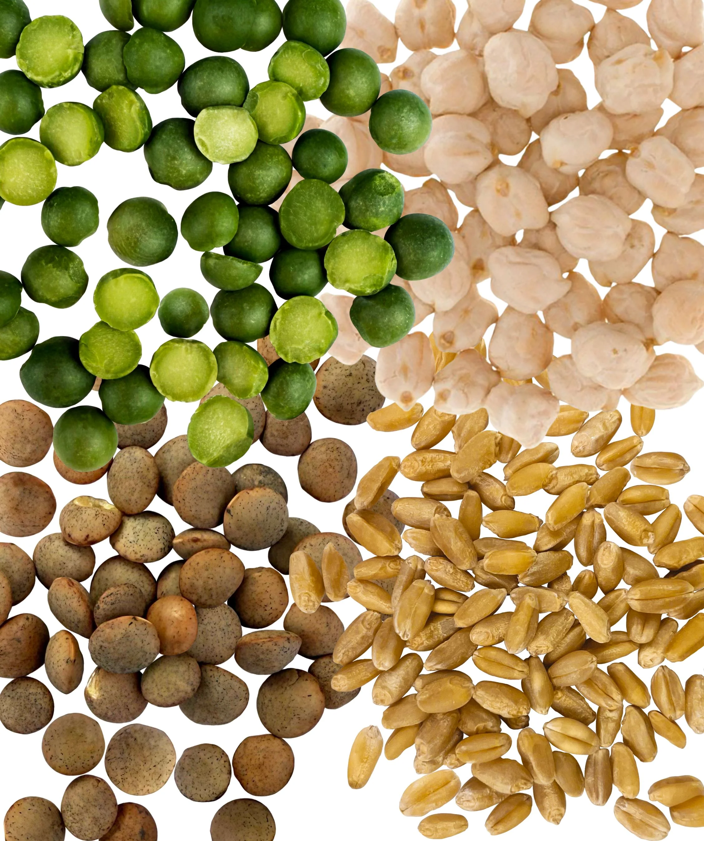 Farm to Table Starter Bundle | 1 LB Best Seller Pack | 4 LB - Image 2