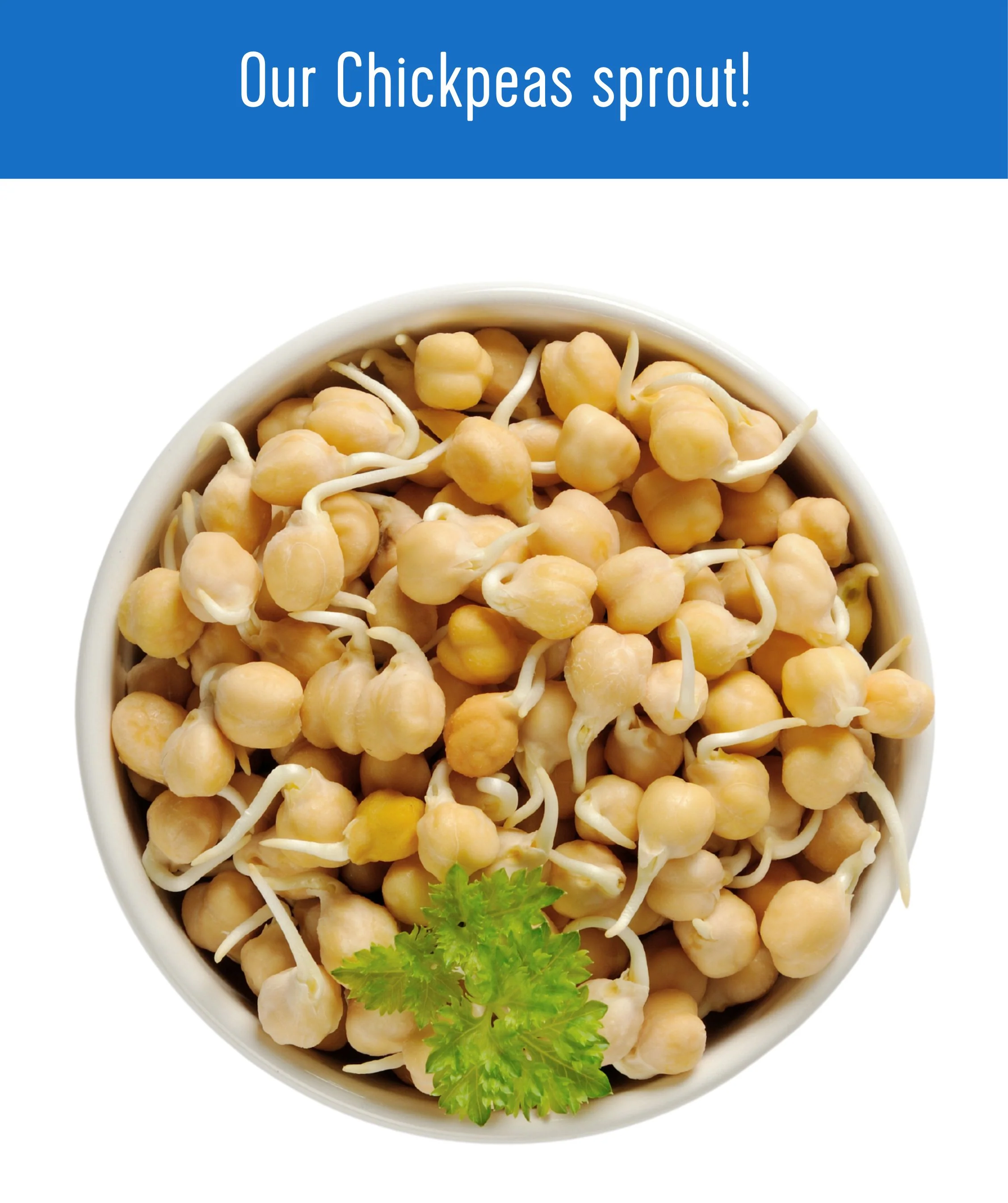 Chickpeas | 18 LB | Certified Glyphosate Residue Free - Image 7