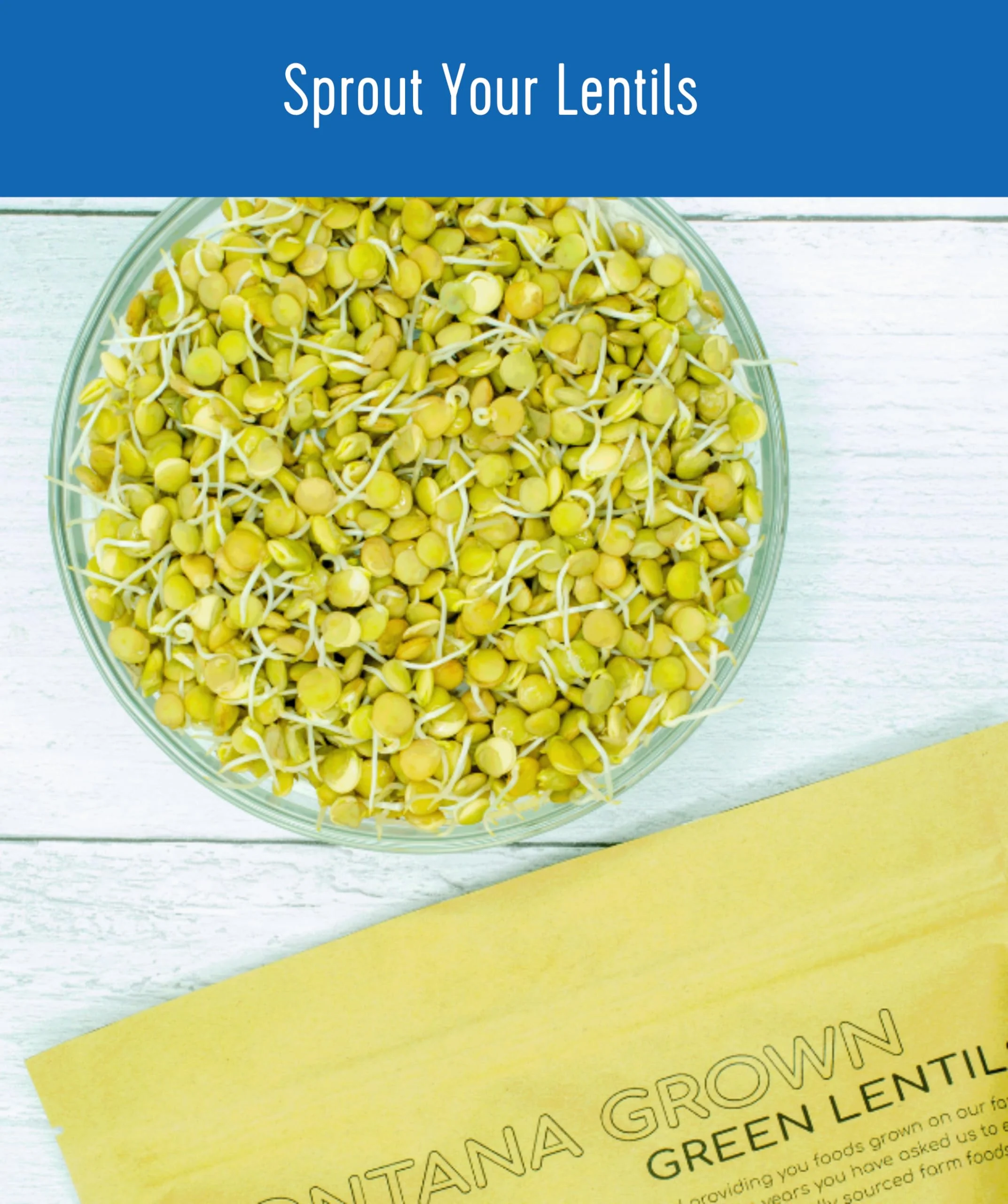 Green Lentils | 1 LB - Image 6