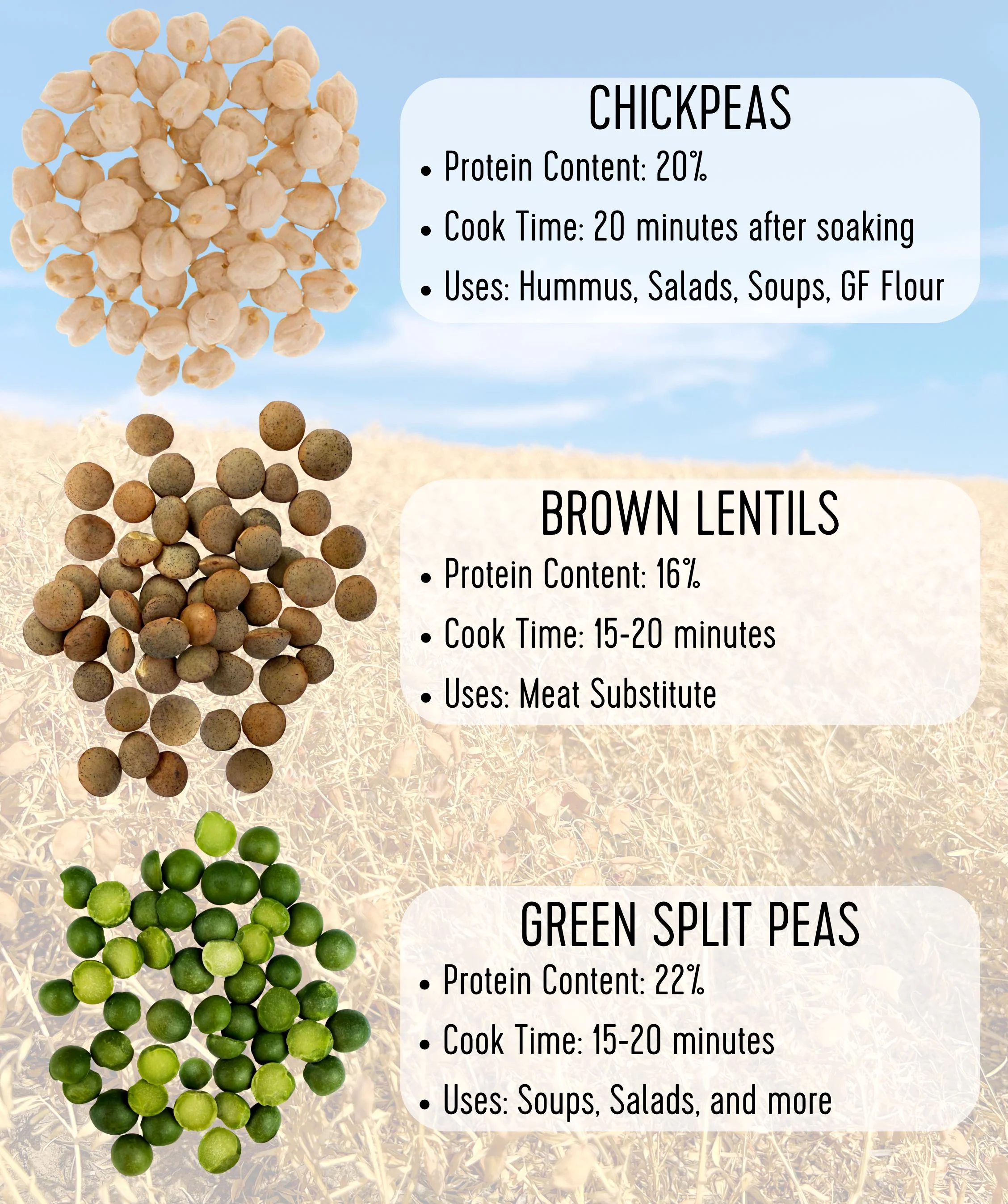 Green Split Peas | 25 LB Bucket | Certified Glyphosate Residue Free - Image 8