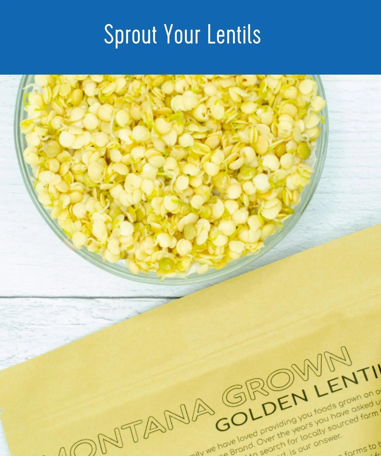 Golden Lentils | 4 LB | Certified Glyphosate Residue Free - Image 6