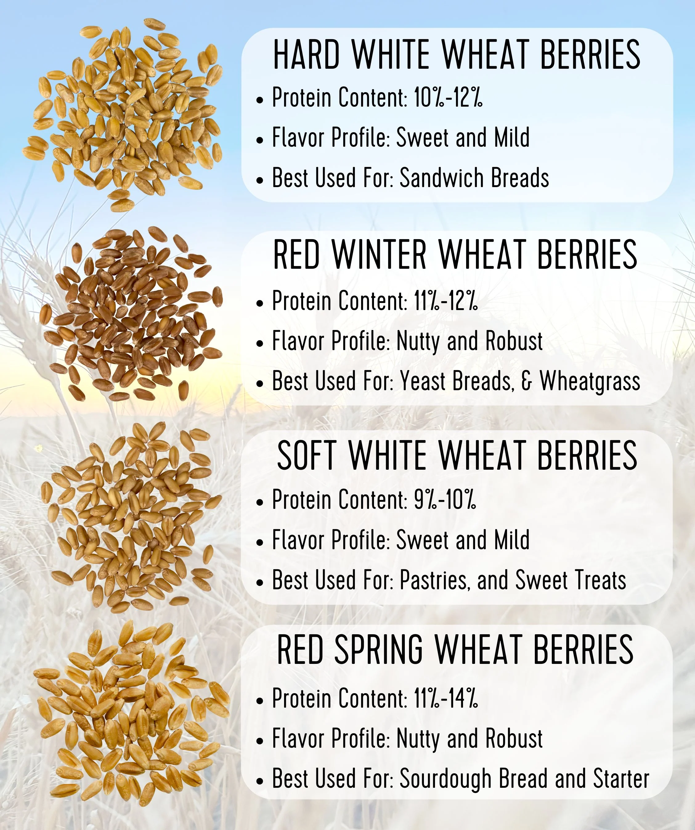 Hard Red Spring Wheat Bundle | 100 LB | Certified Glyphosate Residue Free - Image 8
