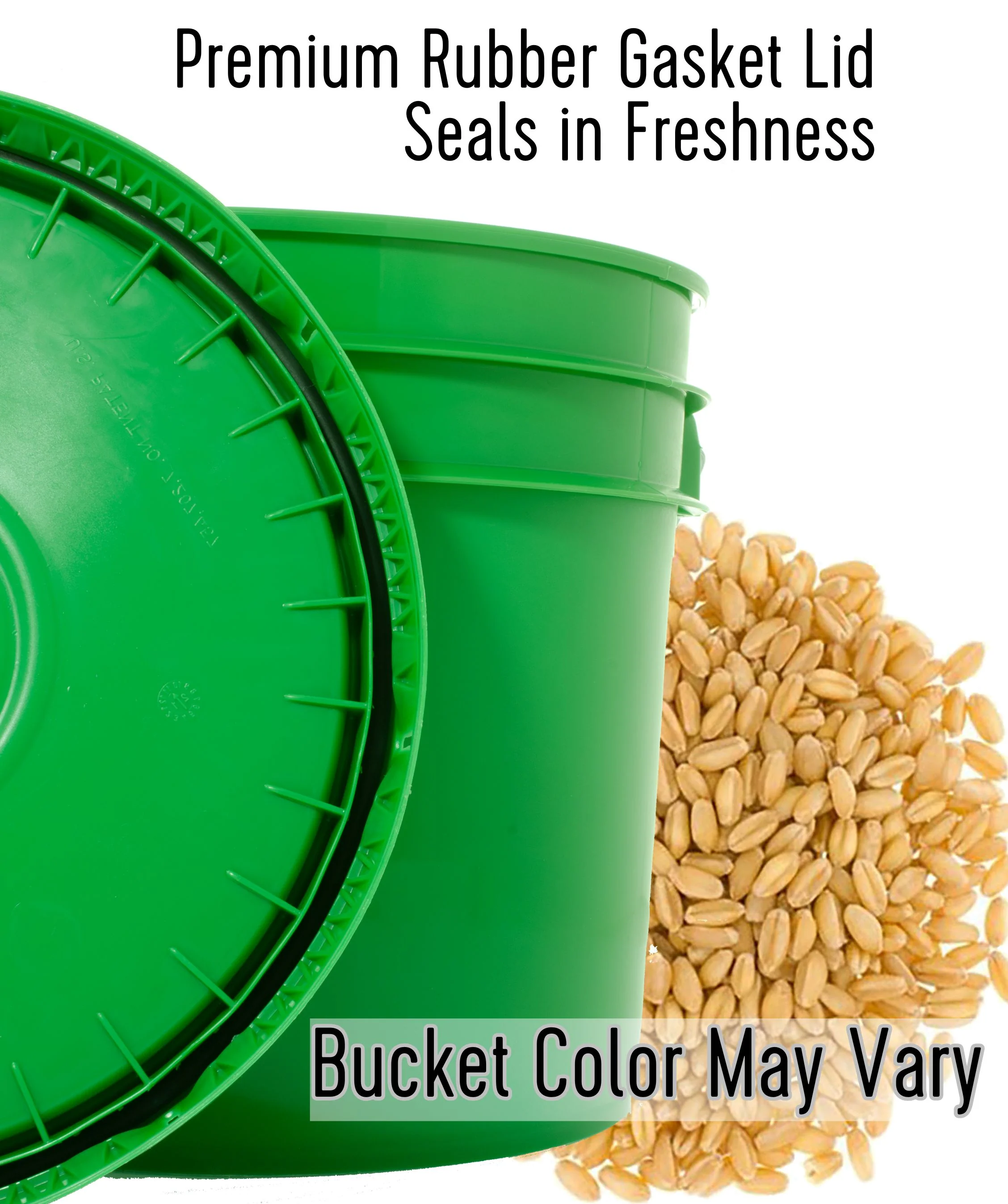 Hard White Wheat Berries | 25 LB Bucket | Certified Glyphosate Residue Free - Image 9