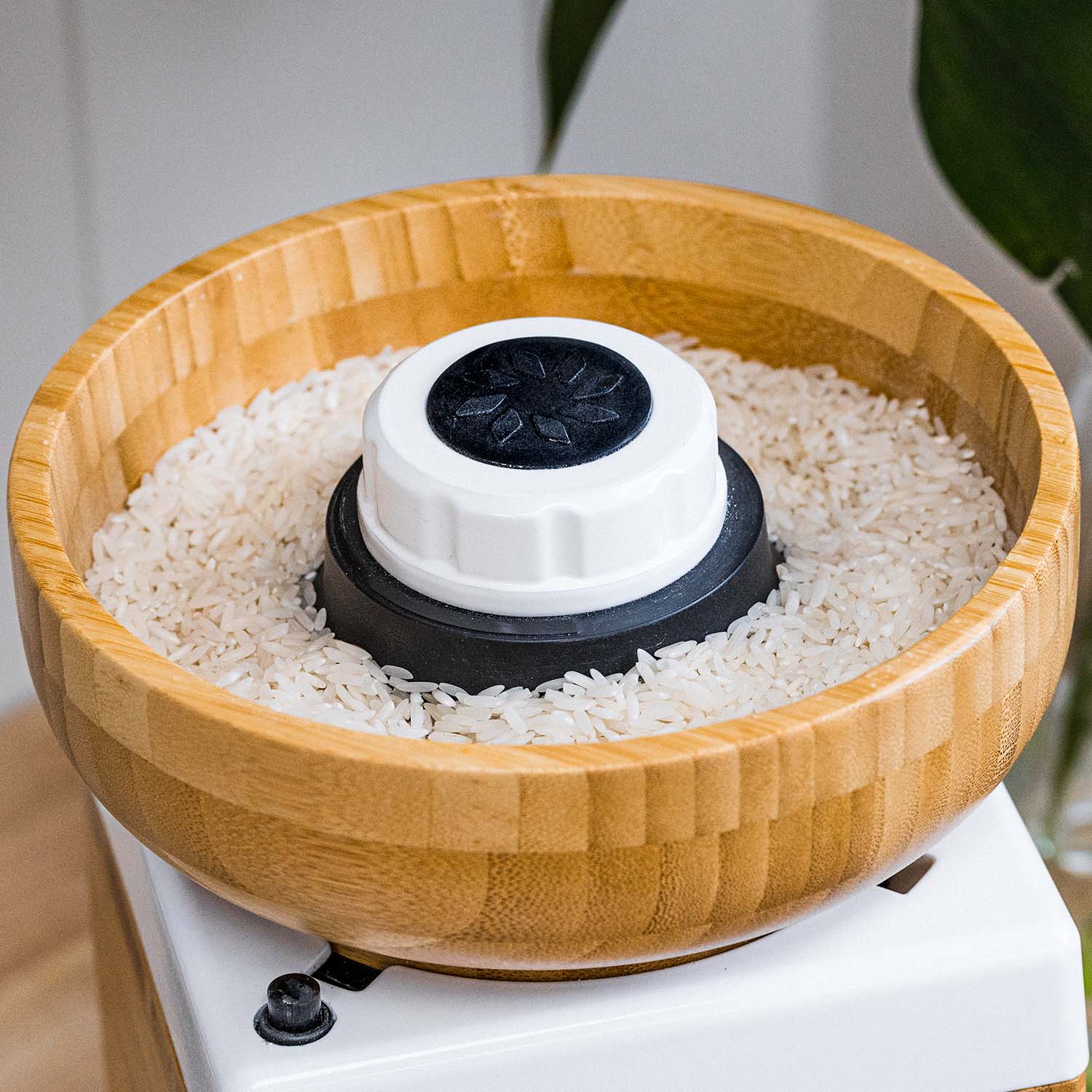 Harvest Grain Mill - White - Image 4