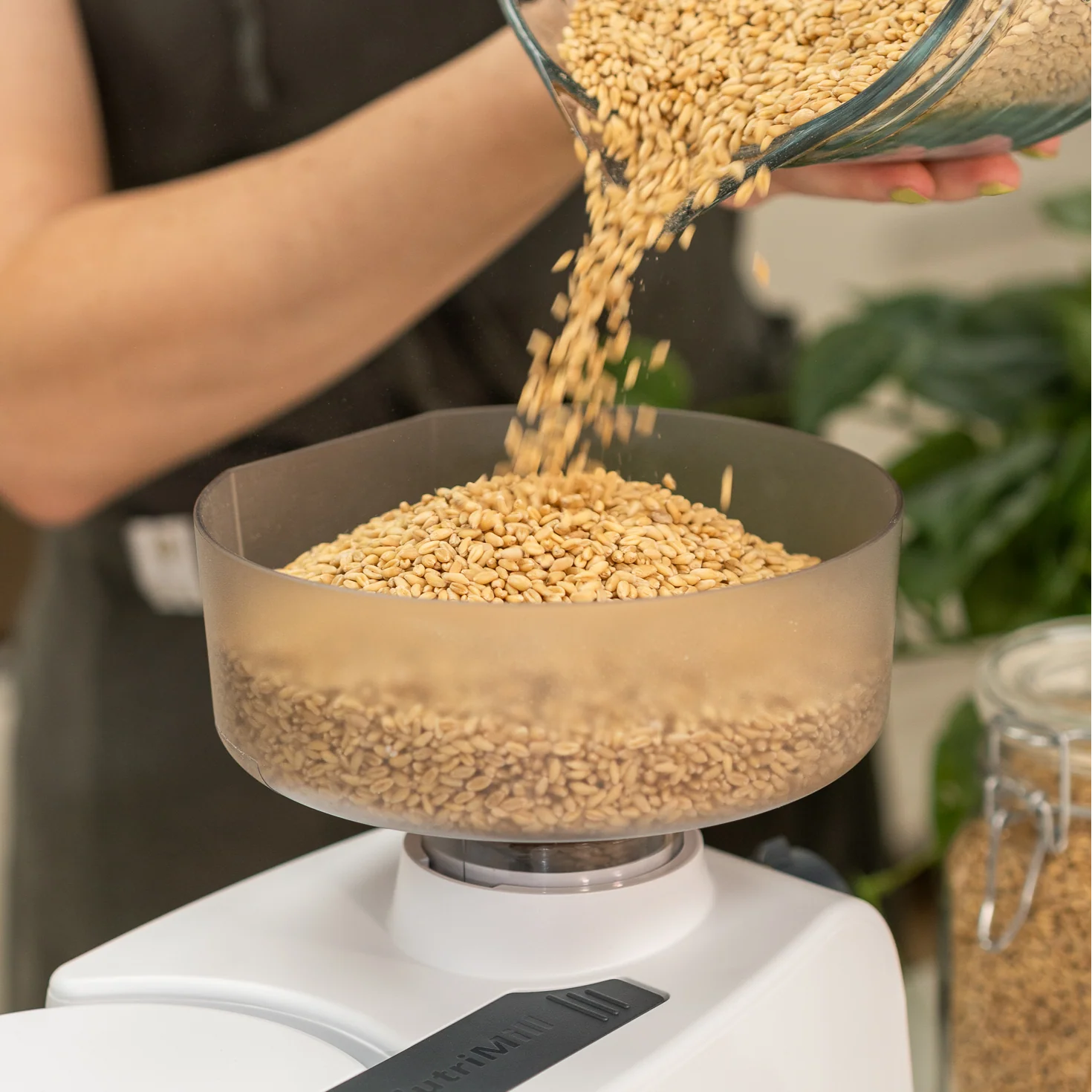 Impact Grain Mill - Image 3