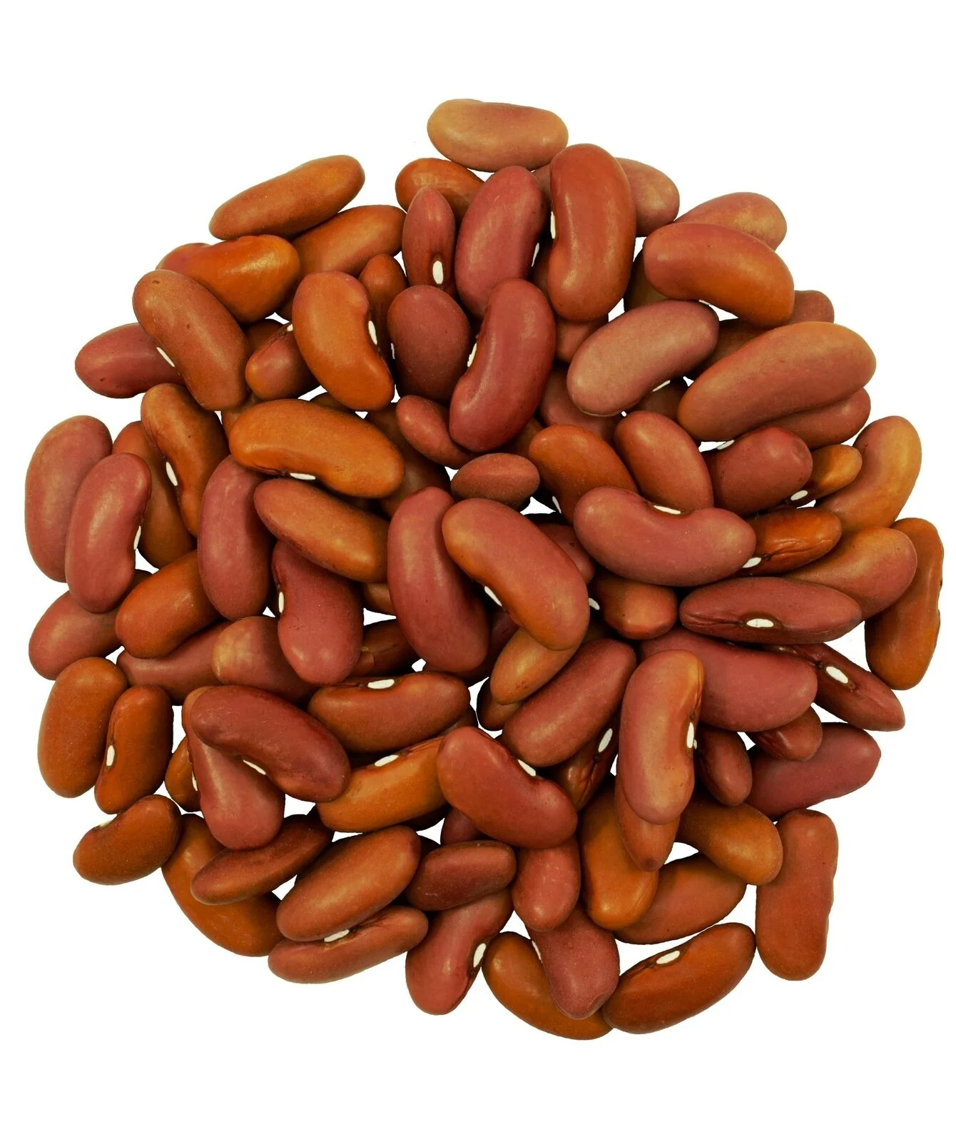 Kidney Beans | 4 LB | Certified Glyphosate Residue Free - Image 2