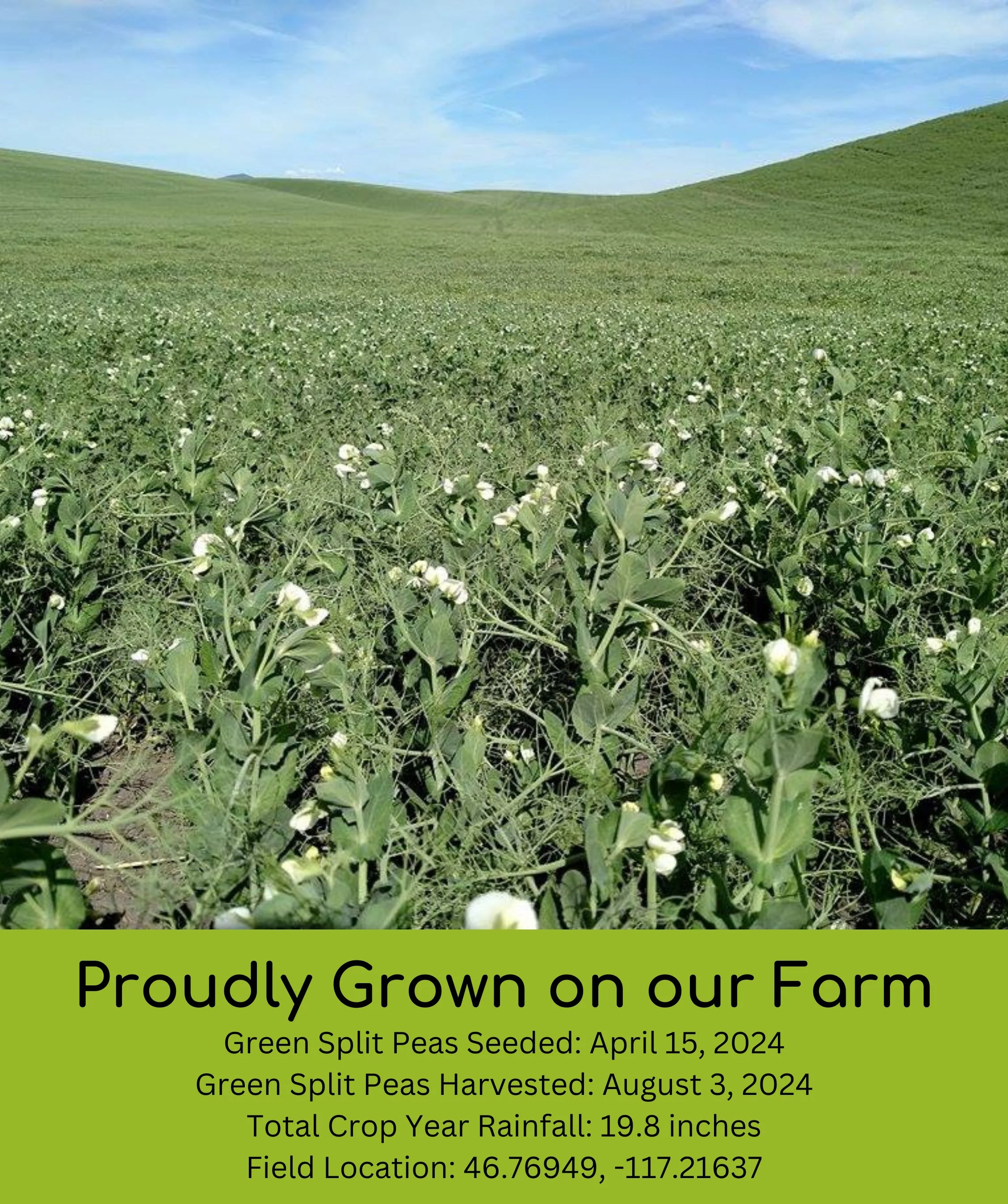 Palouse Brand 1 LB Bundle | 7 LBS | Certified Glyphosate Residue Free - Image 9