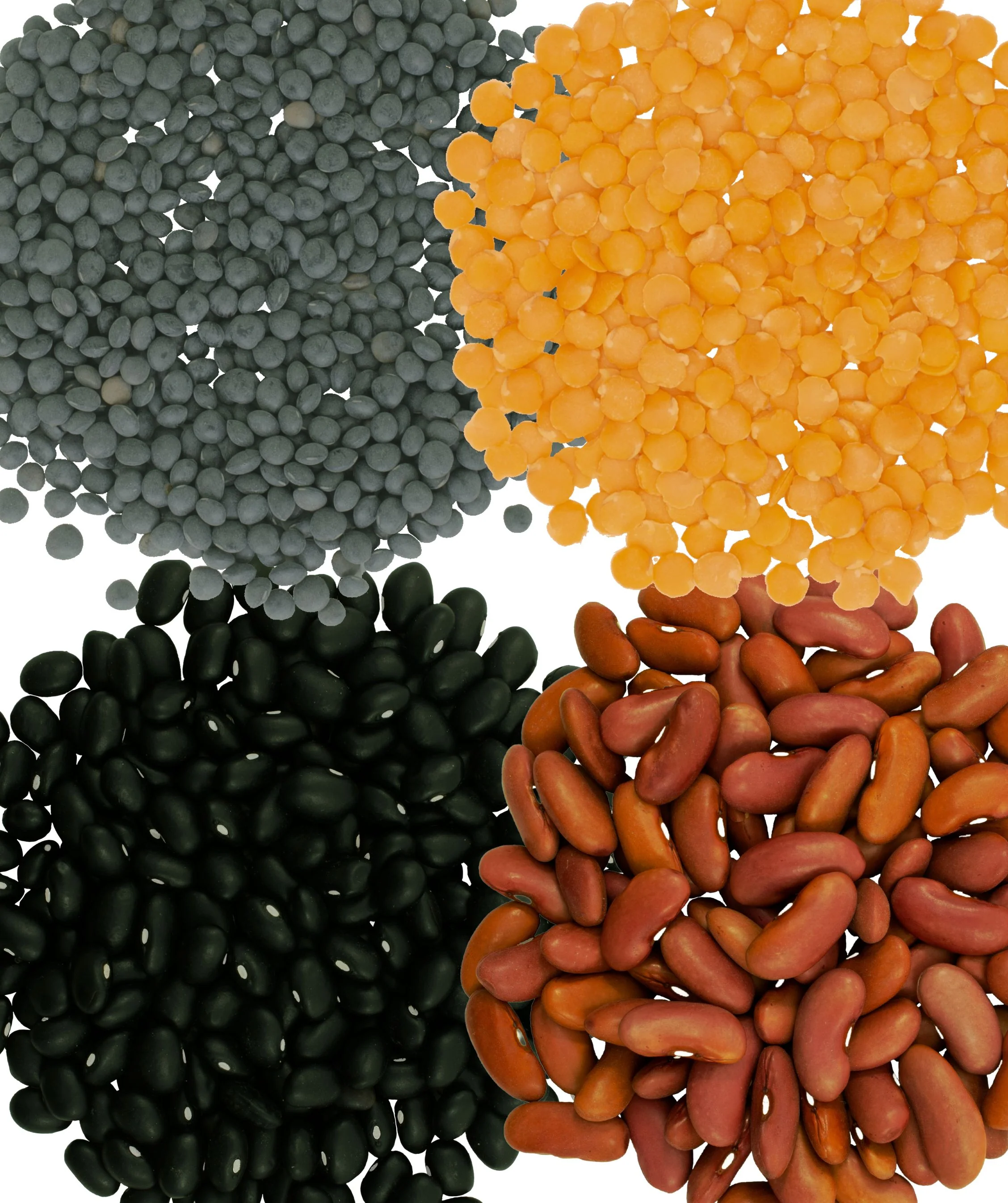 The Pantry Staples Bundle | Legume Variety | 16 LB - Image 2